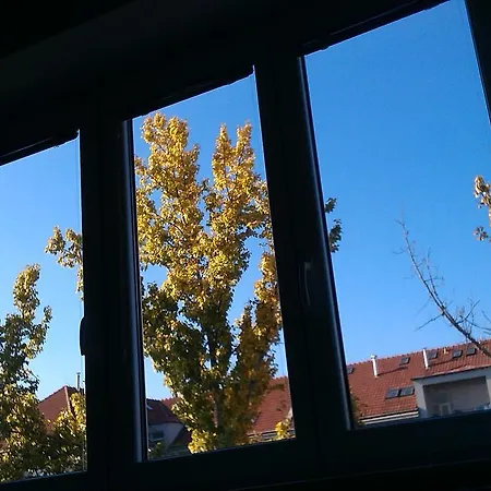 Full Of Light Homestay Prague